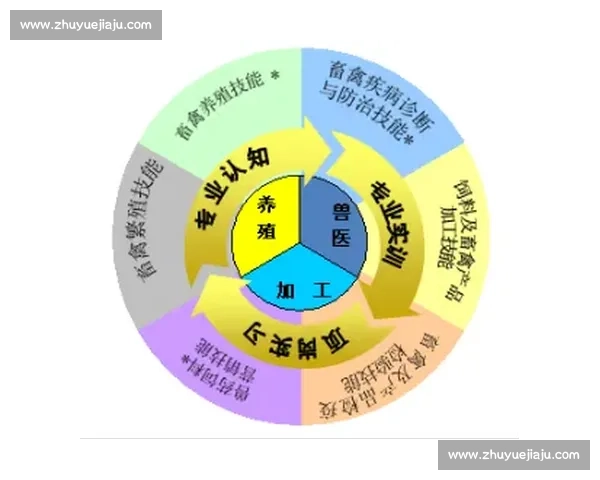打造青少年足球人才培养与升学一体化招生新模式探索实践路径研究